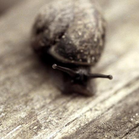 Codemakerli Guoliang Li Github - Premium Sunset Art Gallery - Retina