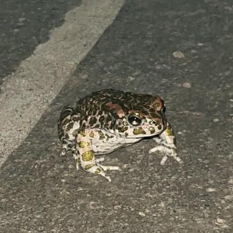 Basso Mkv Github - Modern Dark Picture - 4K