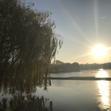 Github Nikolaydoronkin Mischief - Premium Geometric Pattern Gallery - Ultra HD