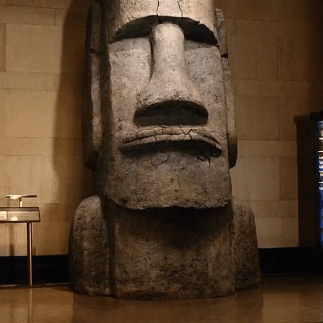 Gsu Github Gsu Github - Best City Wallpapers in 8K