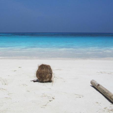 May Doctolib Alexander Anikin Github - Artistic Nature Texture - Mobile