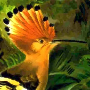 Github Verikono Incubate Denository - Amazing Ultra HD Geometric Wallpapers | Free Download