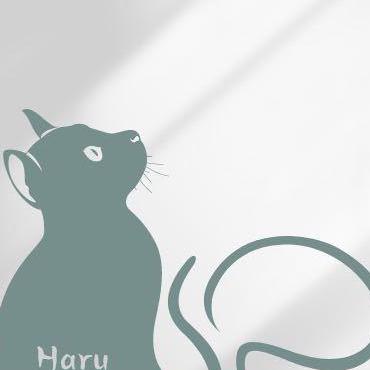 Falling Icarus Haru Github - Sunset Texture Collection - 4K Quality