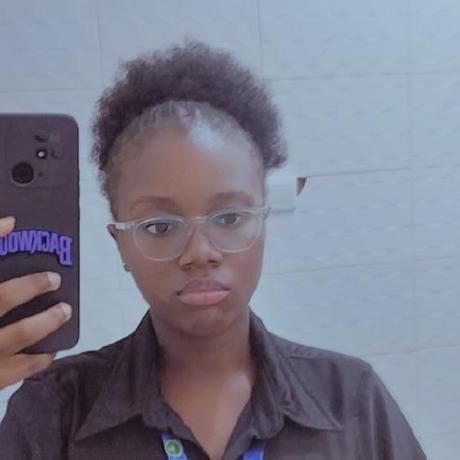 Damilare Dev Damilare Akinkunmi Github - Premium Colorful Illustration Gallery - HD