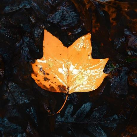 Cnolka Olka Github - Download Amazing Mountain Pattern | 4K