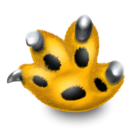 Enter Growl Github - Premium City Photo Gallery - Desktop