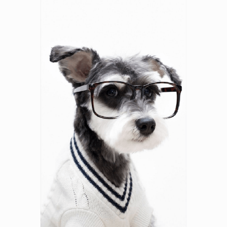 Sree6143 Sree Github - Premium Nature Wallpaper Gallery - Desktop