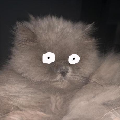 Ashleigh Pilkerton Github - Premium Nature Photo Gallery - Retina