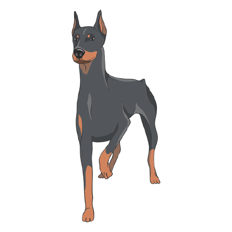 Nctbrtc Necati Github - Creative Mobile Vintage Patterns | Free Download