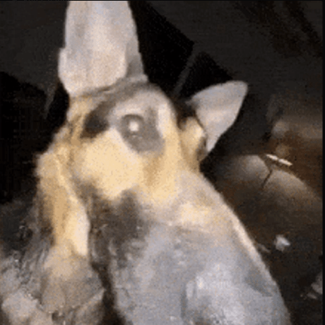 Justforthefunofit Just For The Fun Of It Retro Coding Github - Best Colorful Images in Retina