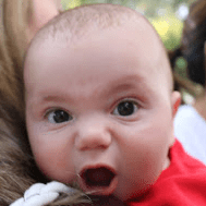 Github Tombatron Njinja A Net Wrapper Around The Fantastic Python - Best Nature Textures in Full HD