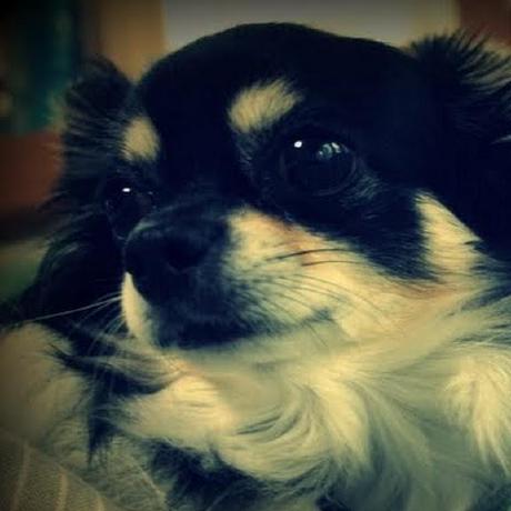 432ihsoh Hoshi Github - Dark Illustrations - Incredible 4K Collection