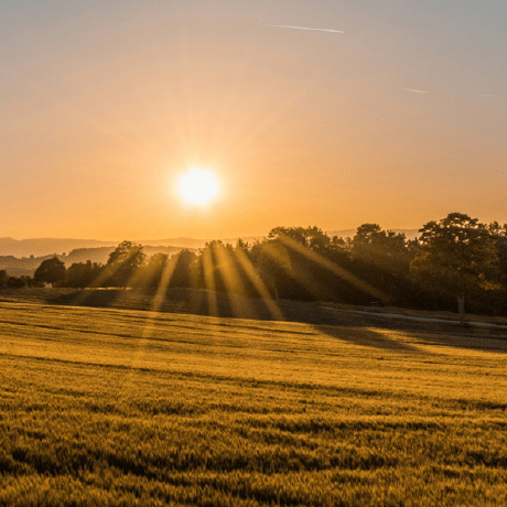 Chandini19 Chandini Github - Premium Dark Art Gallery - Ultra HD