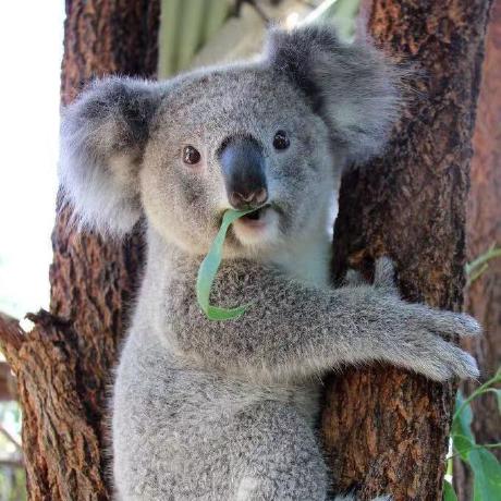 Github Zijiancogito Programanalyses - Light Pictures - Modern Desktop Collection