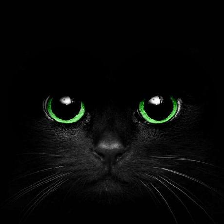 Mary90272 Mary Github - Best Nature Designs in Retina