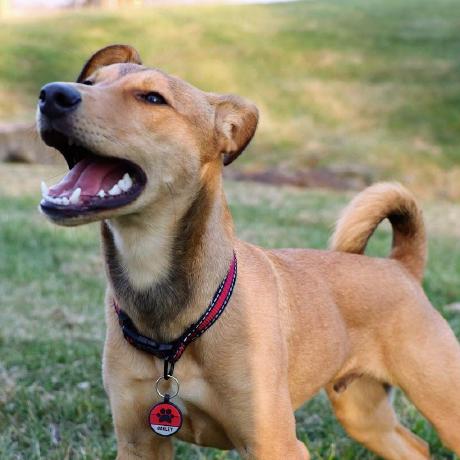 Maca Amato M A Github - 4K Landscape Patterns for Desktop