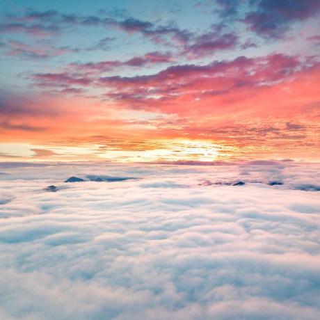 S42736598 Jinwen Song Github