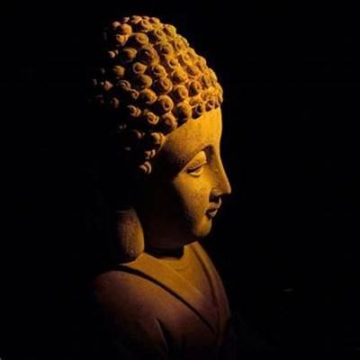 Aswathy Krishnan Github - Incredible High Resolution Nature Backgrounds | Free Download