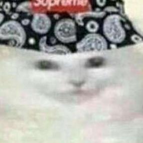 Tego Vuvo Tego Vuvo Af Github - Mountain Background Collection - HD Quality