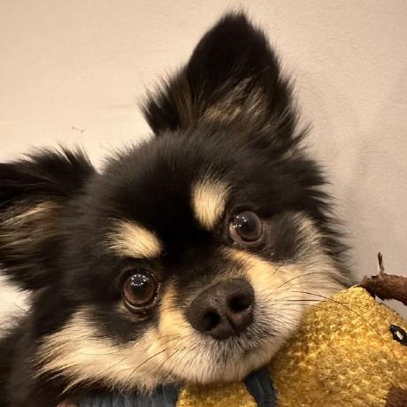 Eliot A Github - Download Beautiful Gradient Art | 4K