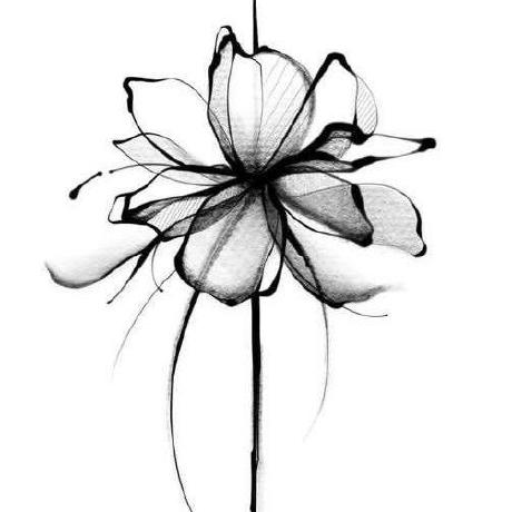 Giadaripamonti Giada Ripamonti Github - Download Professional Gradient Texture | 4K