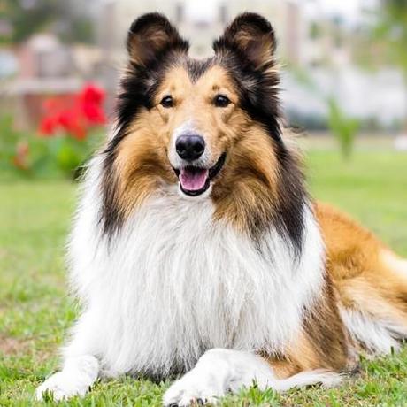 Harold2017 Harold Github - Ultra HD High Resolution Ocean Arts | Free Download