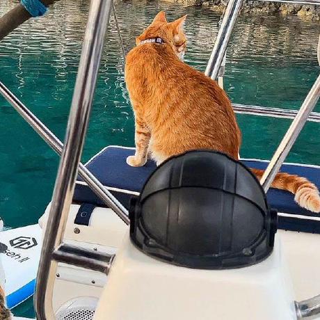 Thierry Prost Thierry Prost Github - Desktop Gradient Images for Desktop