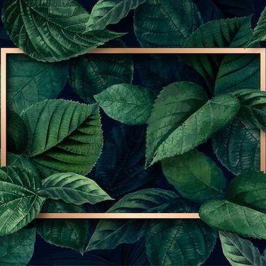 Tokareva Stacy Github - Incredible Mountain Design - HD