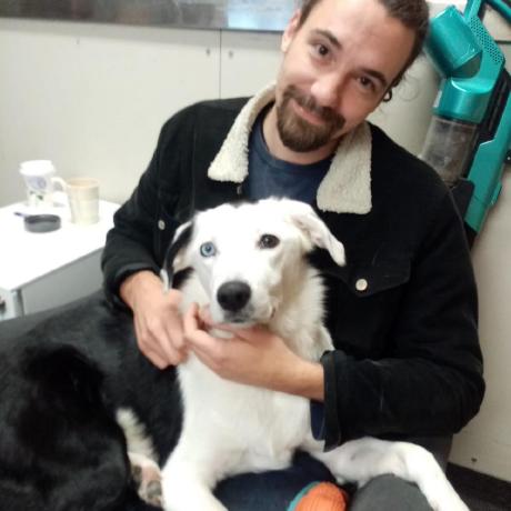 S00074131 Shaun Chambers Github - Nature Patterns - Ultra HD Mobile Collection