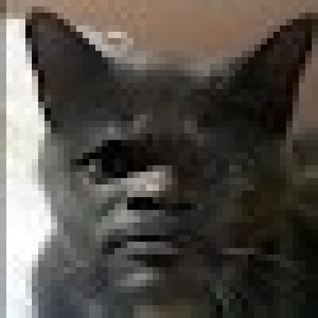 Github Windwhinny Toilet - Download Creative Dark Wallpaper | 8K