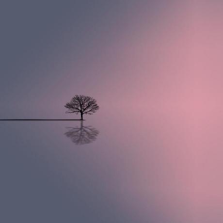 Ibtihalx Ebtihal Github - Geometric Designs - Incredible High Resolution Collection