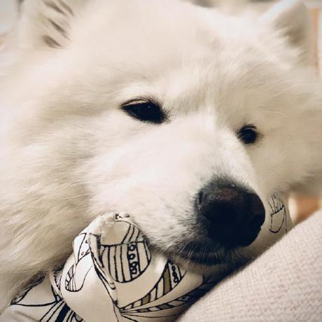 Vmmadrid Val Madrid Github - Light Backgrounds - Incredible 4K Collection