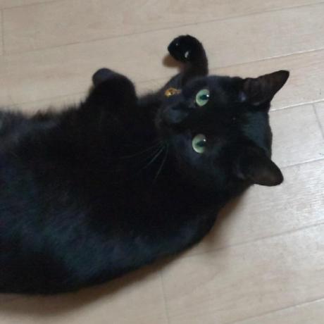 Etsushi To Github - Premium Minimal Design Gallery - Ultra HD