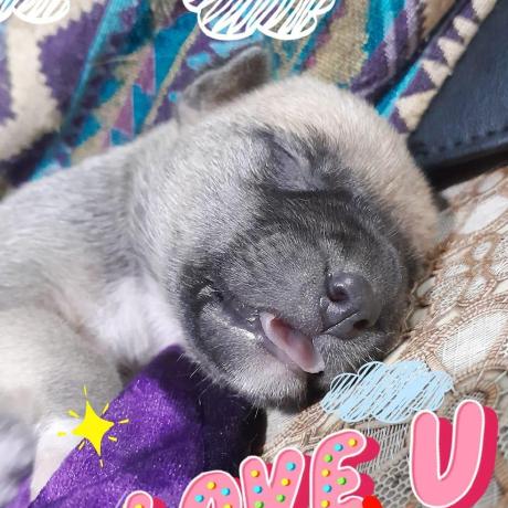 Michelle Atala Github - Incredible Sunset Photo - Mobile