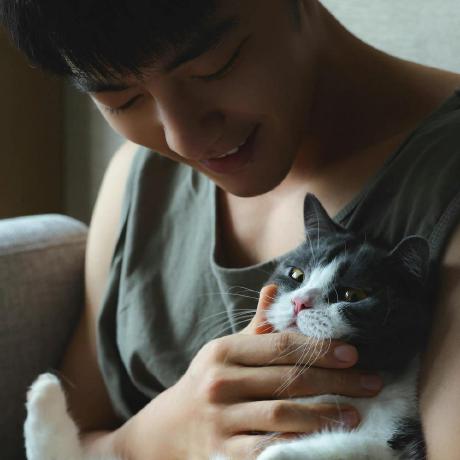 Github 1191763199 Milkycat - Light Illustration Collection - Mobile Quality