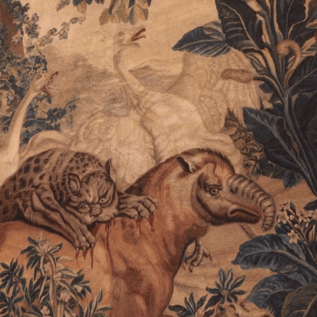 No Stupid Github - 8K Minimal Designs for Desktop