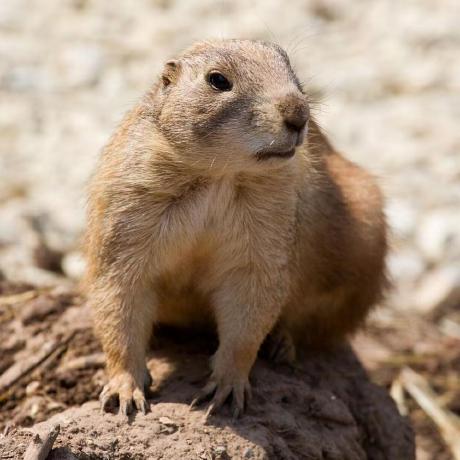 Uaena It Github - Premium Ocean Image Gallery - Ultra HD