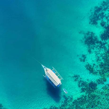 Alexies He He Alexies Github - Sunset Illustrations - Incredible 8K Collection