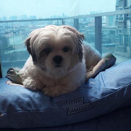 Nahueespinosa Nahuel Espinosa Github - Creative Ocean Picture - Retina