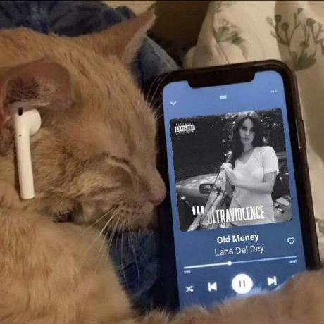 Alihashemi Ai Ali Hashemi Github - Download Perfect Light Texture | 4K