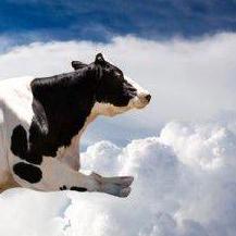 Vgeddes Vincent Geddes Github - Premium Vintage Photo Gallery - High Resolution