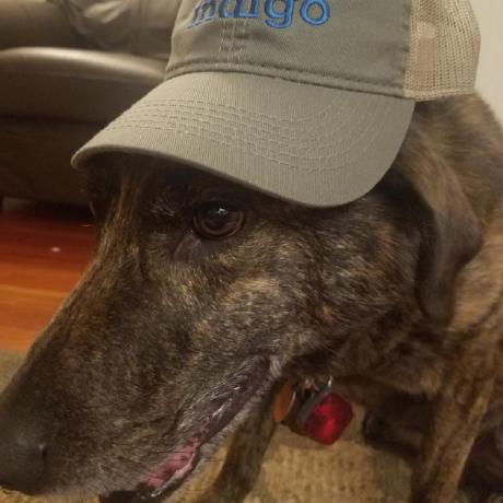 Cloudcrafter Jannich Ibsen Github - Best Light Backgrounds in 4K