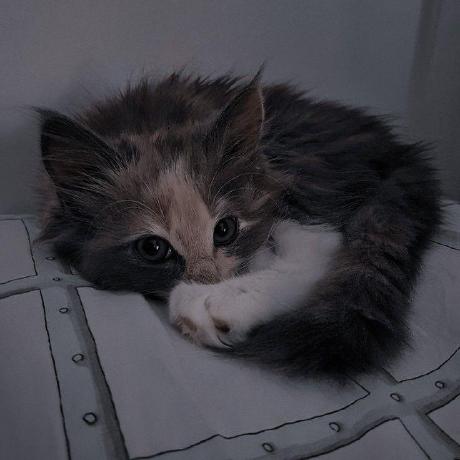 Ekata Singh Github - Dark Picture Collection - Mobile Quality