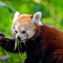 Kedar Materials By Design Lab Github - Abstract Design Collection - HD Quality