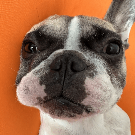 Yamaguchi Ol Github - Download Incredible Space Pattern | Full HD