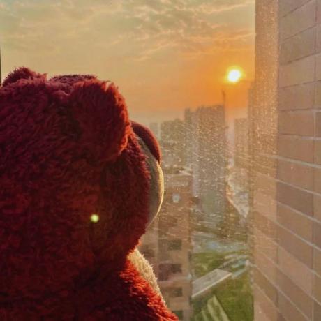 Github Mickael Leclerc Micka L Leclerc Github - Premium City Wallpaper Gallery - Mobile