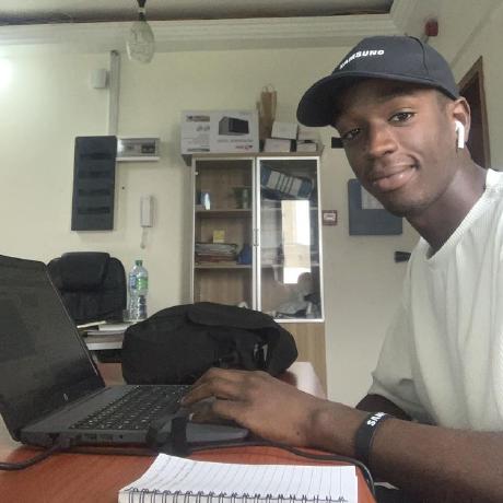 Layetrack Abdoulaye Seck Github - Premium Sunset Illustration Gallery - High Resolution