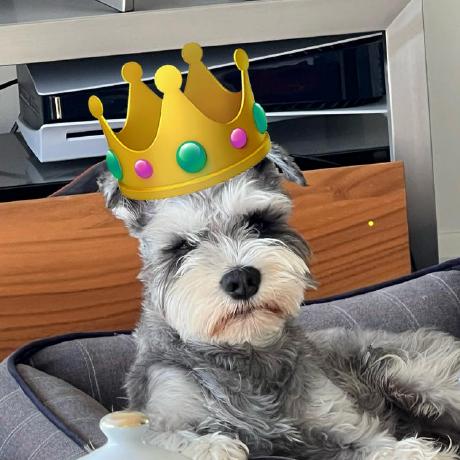 Github Emranmr Alpinejs Nova Extension Alpinejs Nova Extension - Retina Geometric Wallpapers for Desktop