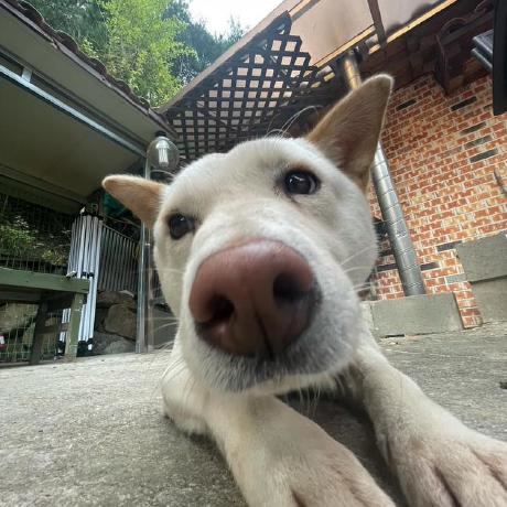 Github Sangwoo Statistics R Pgm - Premium Colorful Photo Gallery - Ultra HD