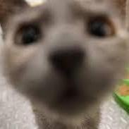 Github Kerudion Chunksfadein A Simple Mod That Adds Bedrock Like - Mobile Abstract Textures for Desktop